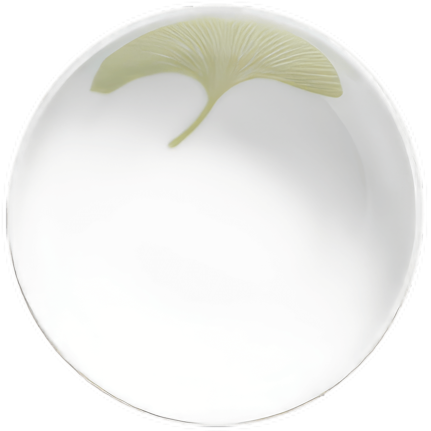 Weiße Schale mit grünem Ginkgo-Blattmotiv, Schale schwebt über flacher Oberfläche. Fürstenberg Porzellan.