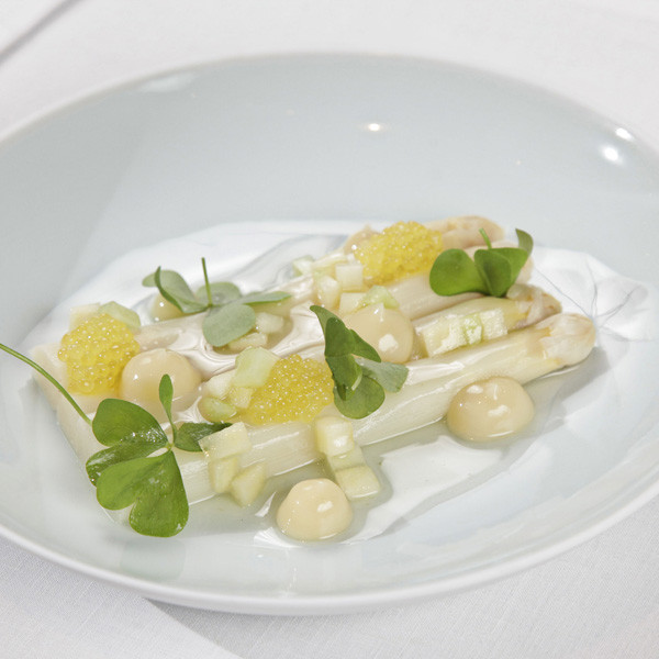 Spargelstangen mit Kaviar, Würfeln und Blättern auf weißem Teller angerichtet. Fürstenberg Porzellan.
