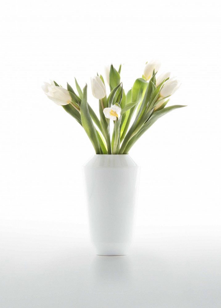 Weiße Vase mit weißen Tulpen stehend auf weißem Hintergrund. Fürstenberg Porzellan.