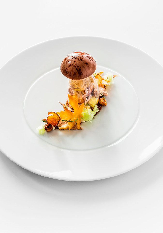 Pilzförmiges Dessert mit Blättern auf weißem Teller, kunstvoll arrangiert. Fürstenberg Porzellan.