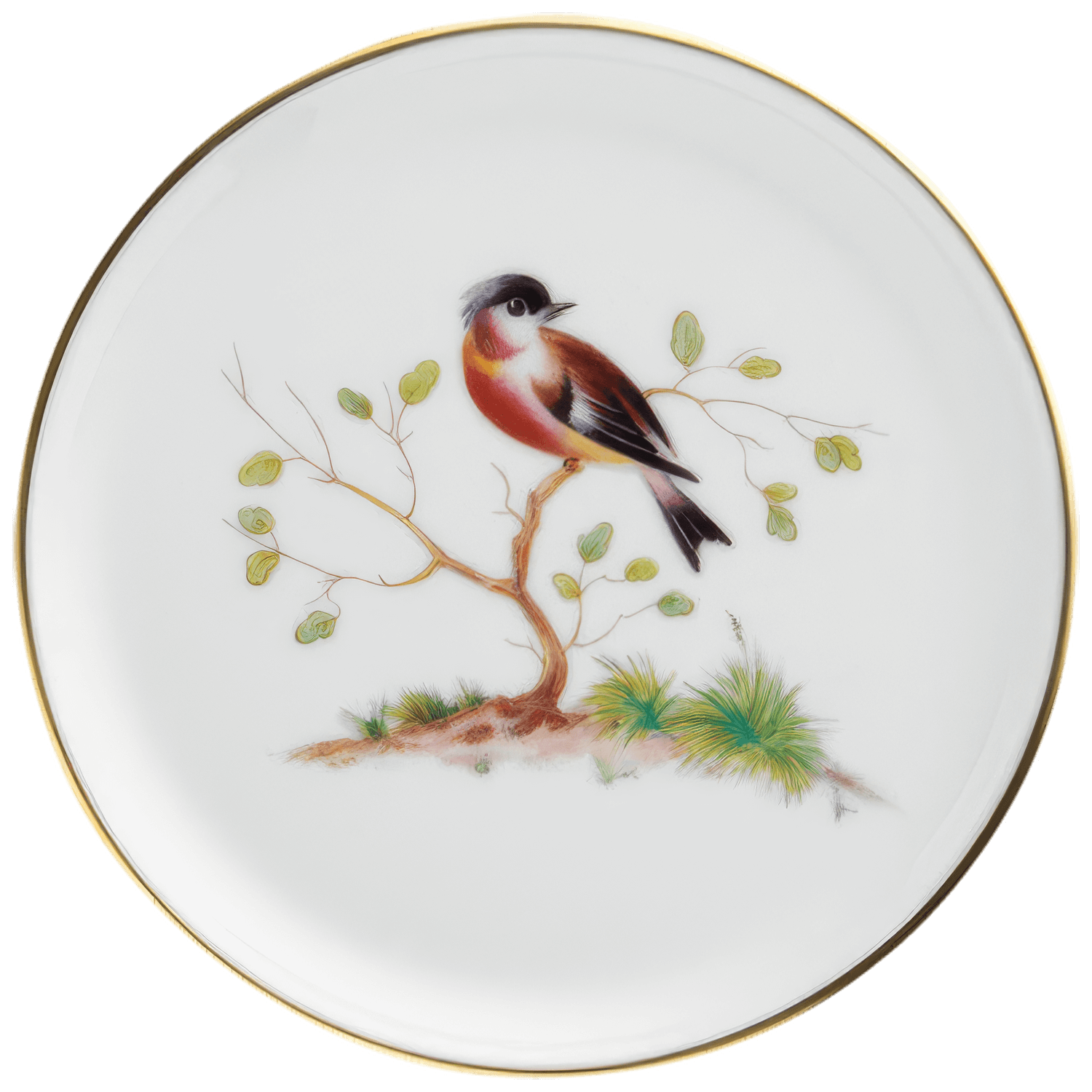 Miniplate