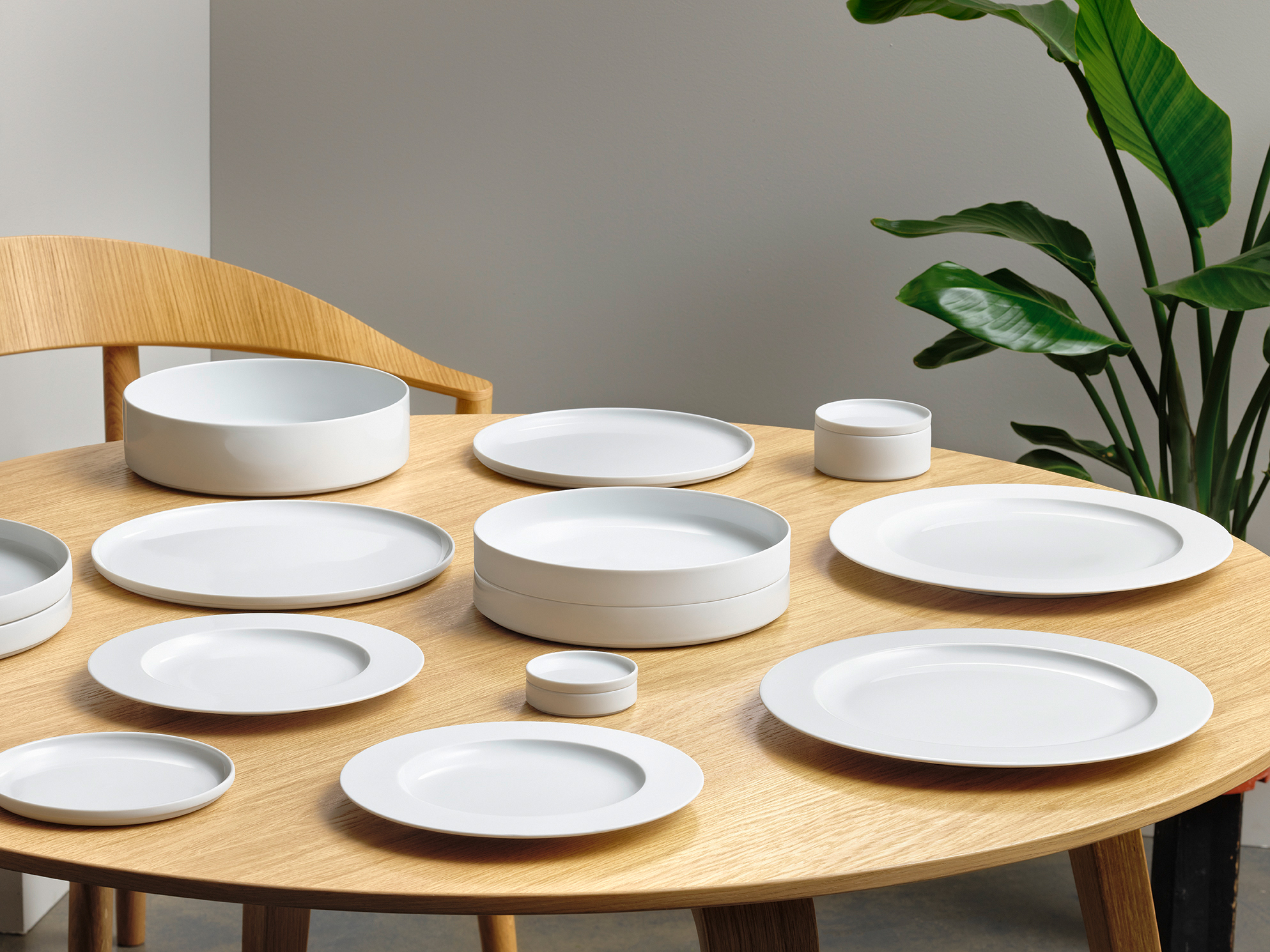 Rimmed dinner plate