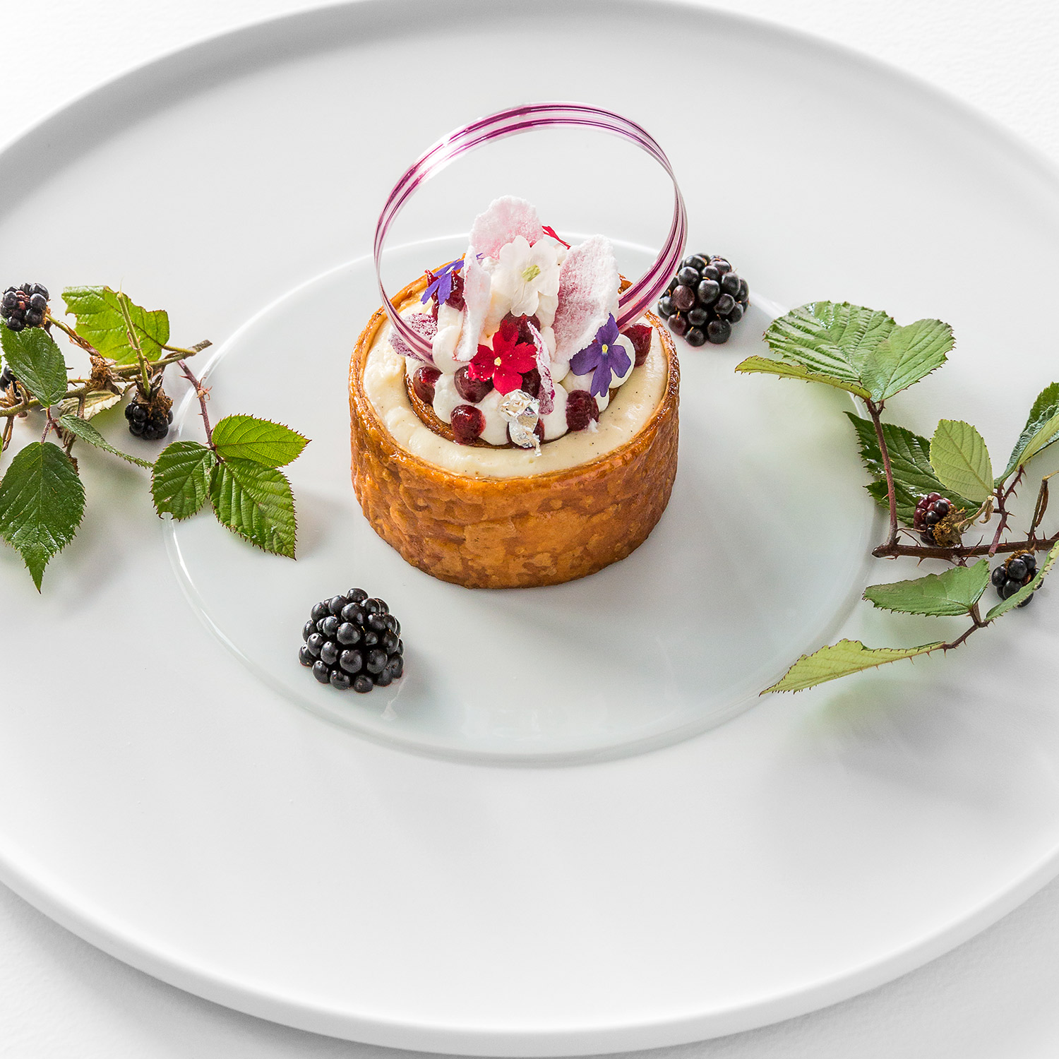 Törtchen auf weißem Teller mit Brombeeren, Blüten und Dekorring verziert. Fürstenberg Porzellan.