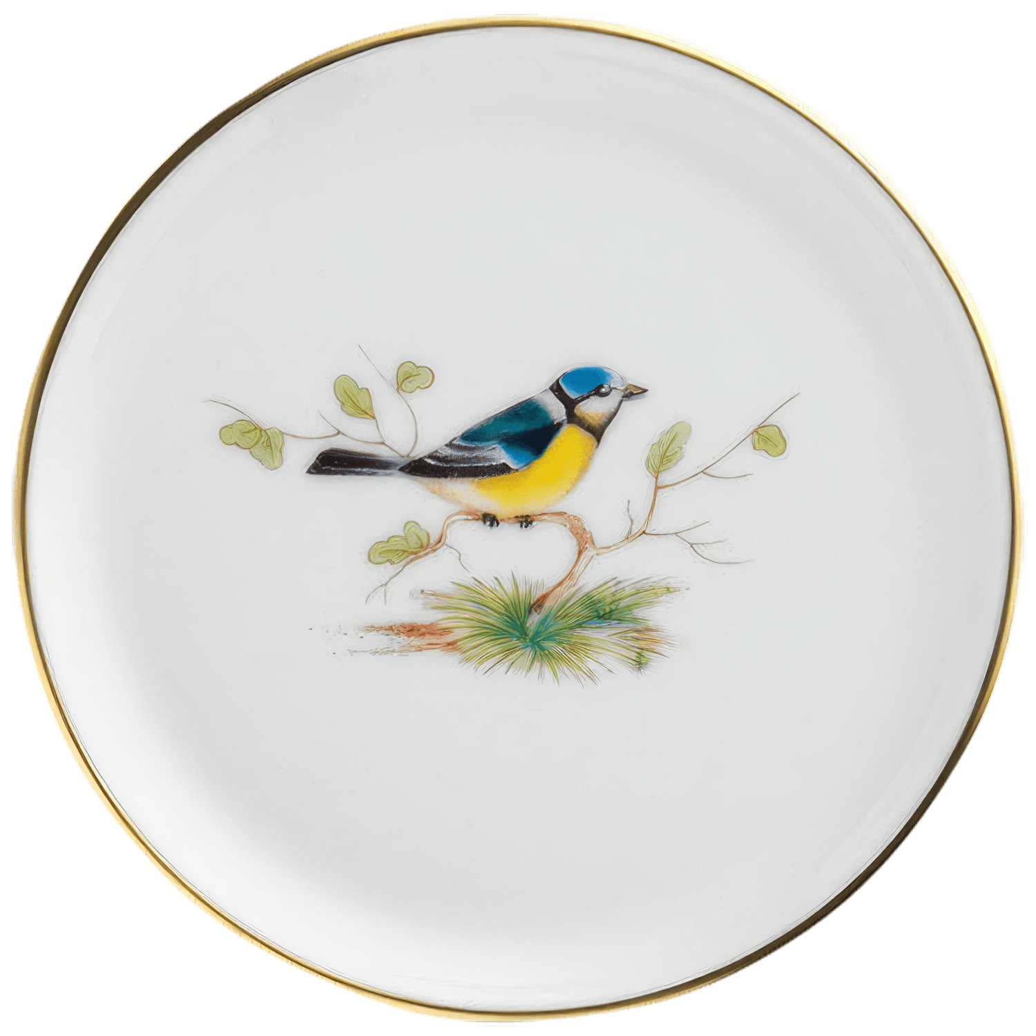 Miniplate
