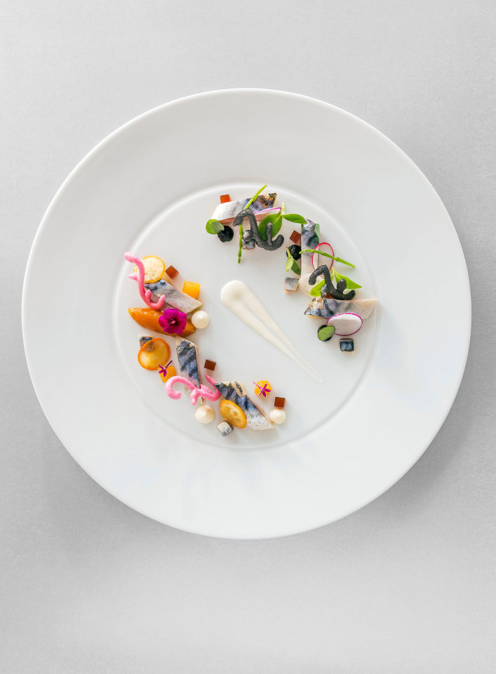 Kunstvoll angerichtete Fischhäppchen und Gemüse auf weißem Porzellanteller. Fürstenberg Porzellan.