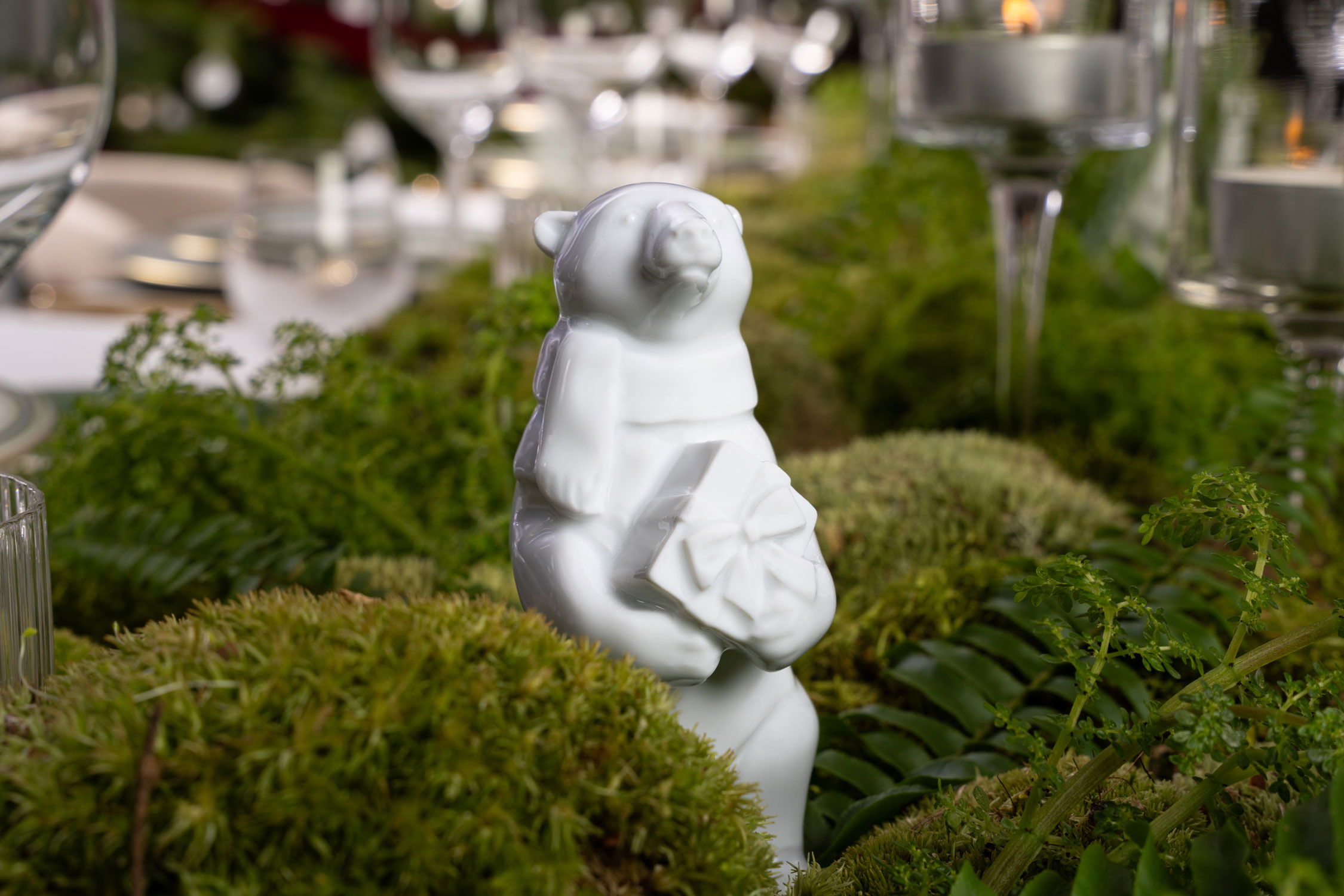 Polar bear 2025 STORMI