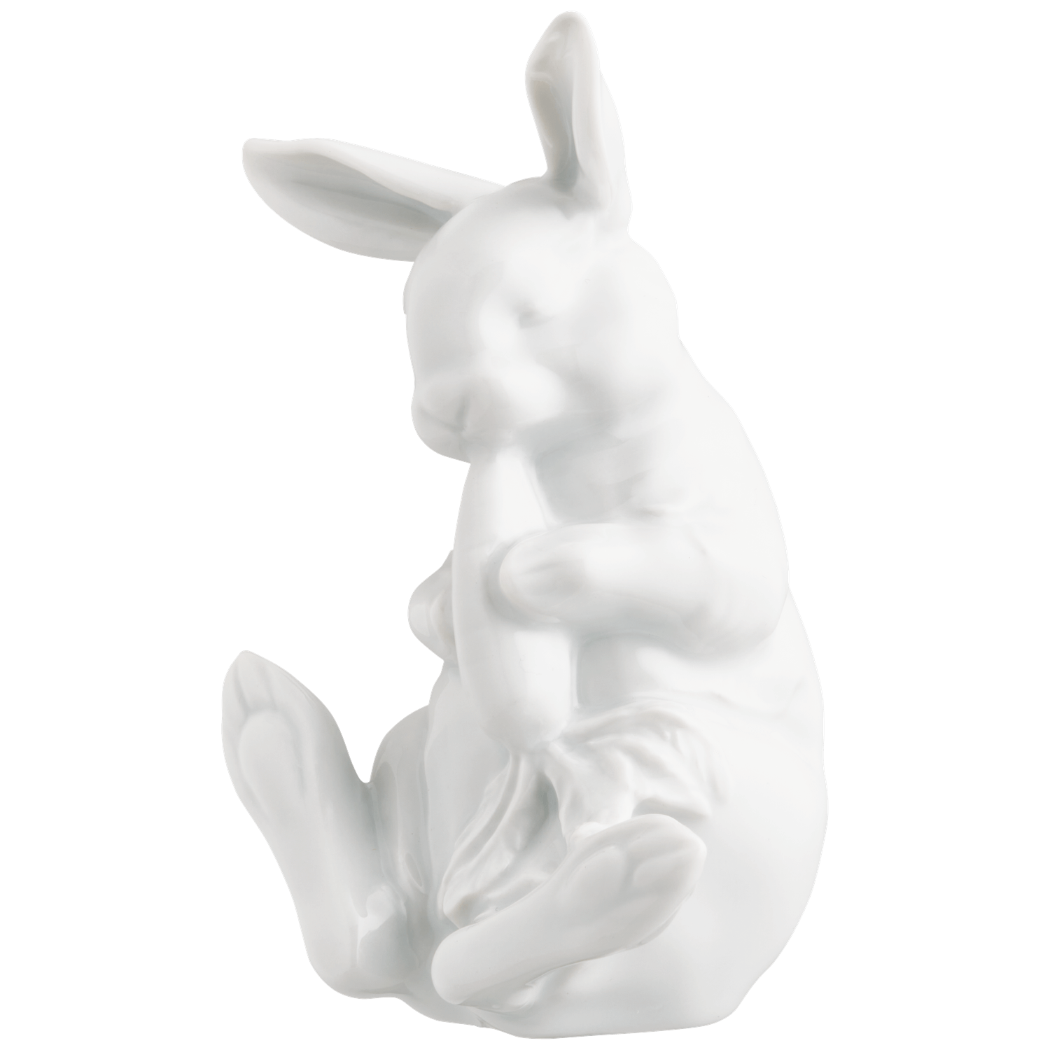 HASE 2026 MAX
