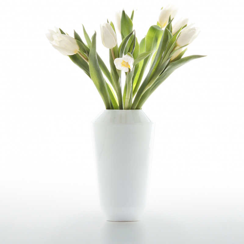 Weiße Vase hält einen Strauß weißer Tulpen, arrangiert auf weißem Hintergrund. Fürstenberg Porzellan.