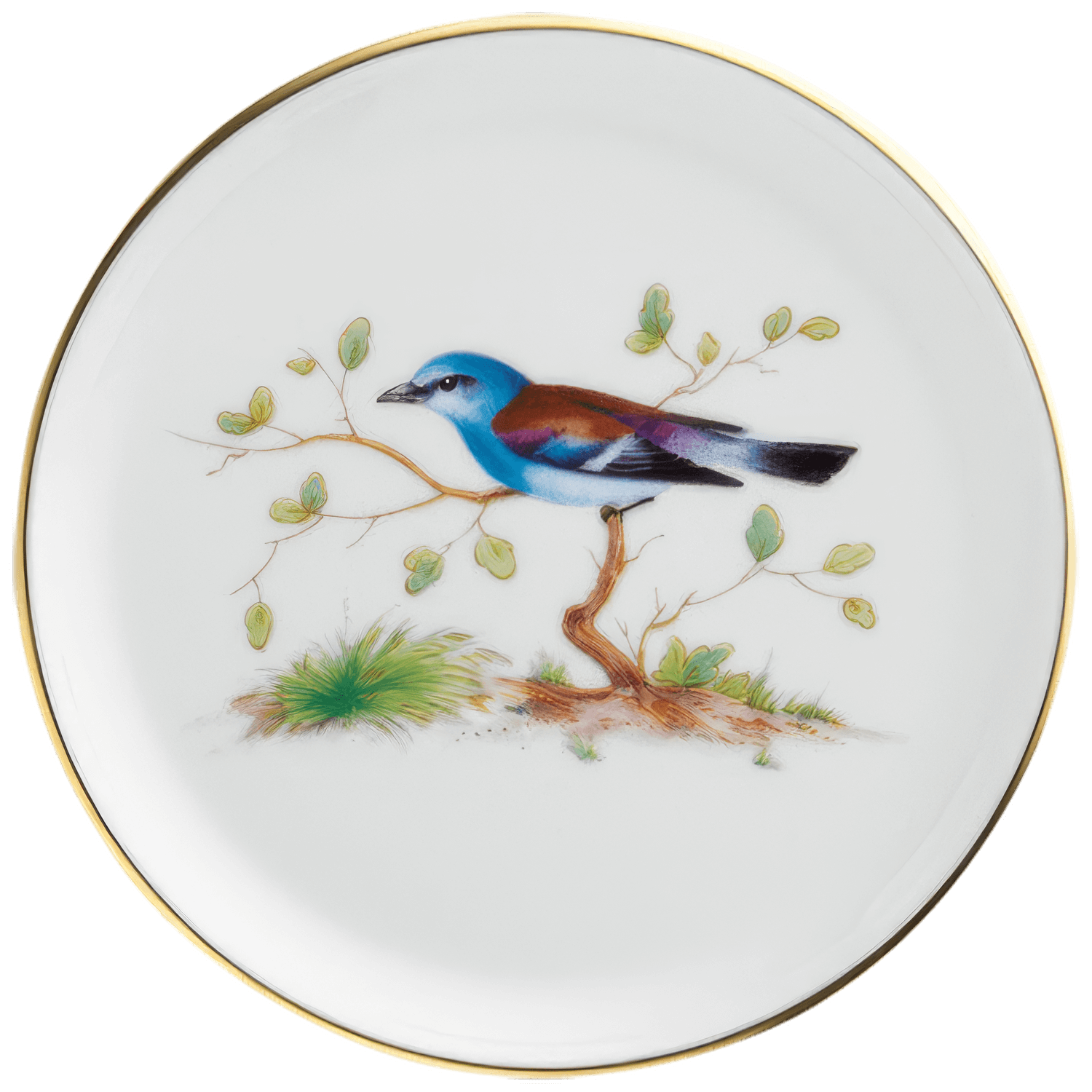 Miniplate