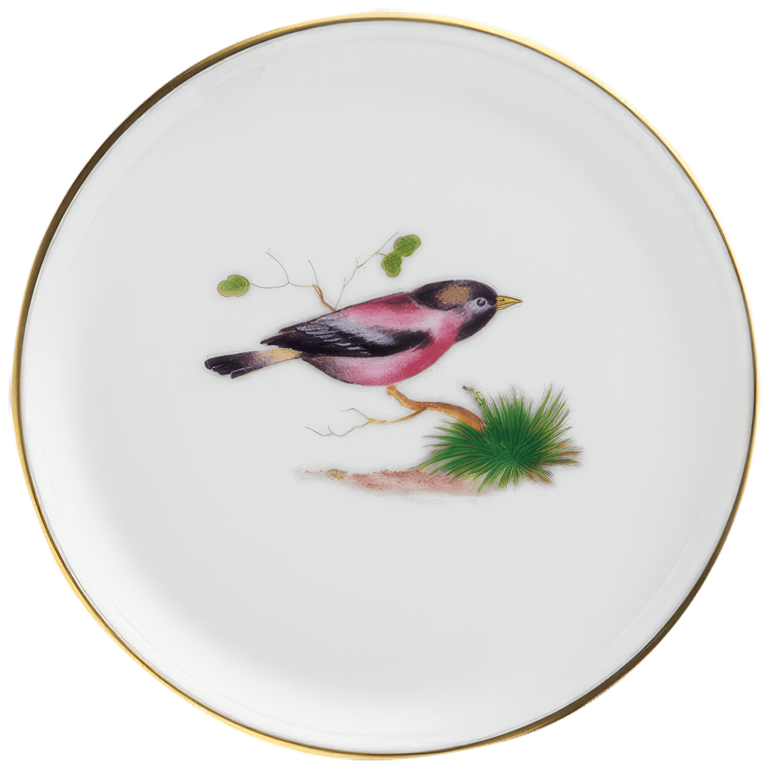 Miniplate