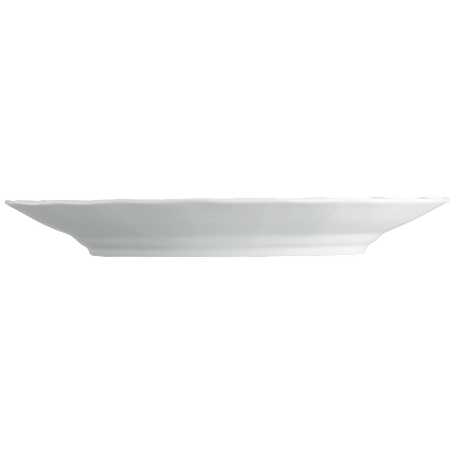 Dinner plate