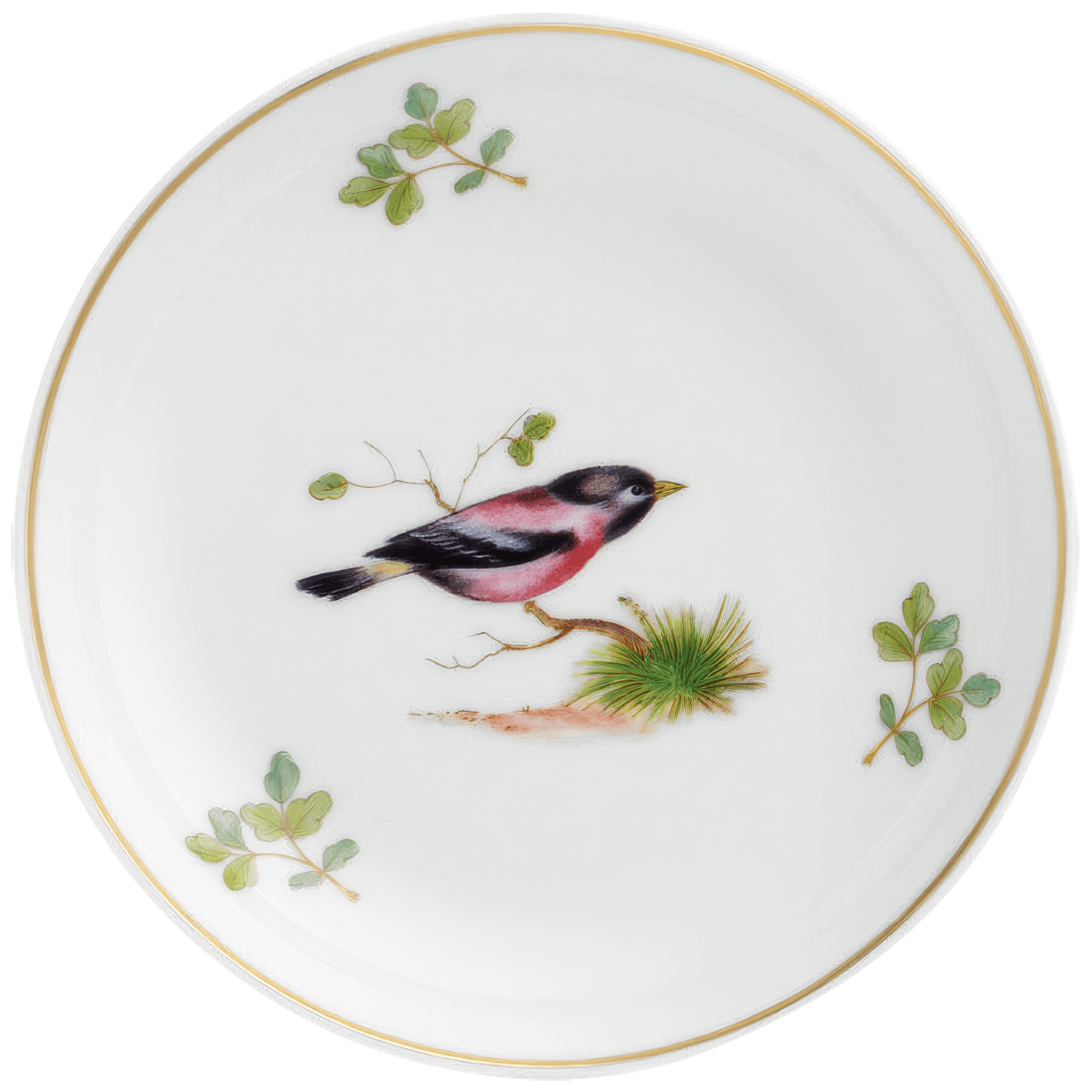 Small dish