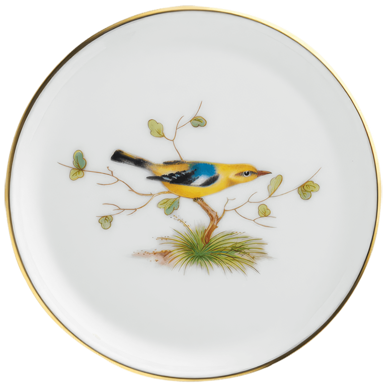 Miniplate