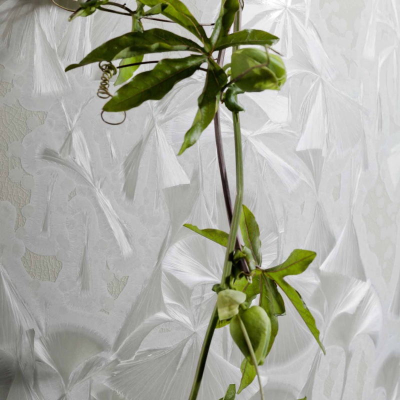 Grüner Zweig rankt vor detailreicher, weißer Porzellanoberfläche. Fürstenberg Porzellan.