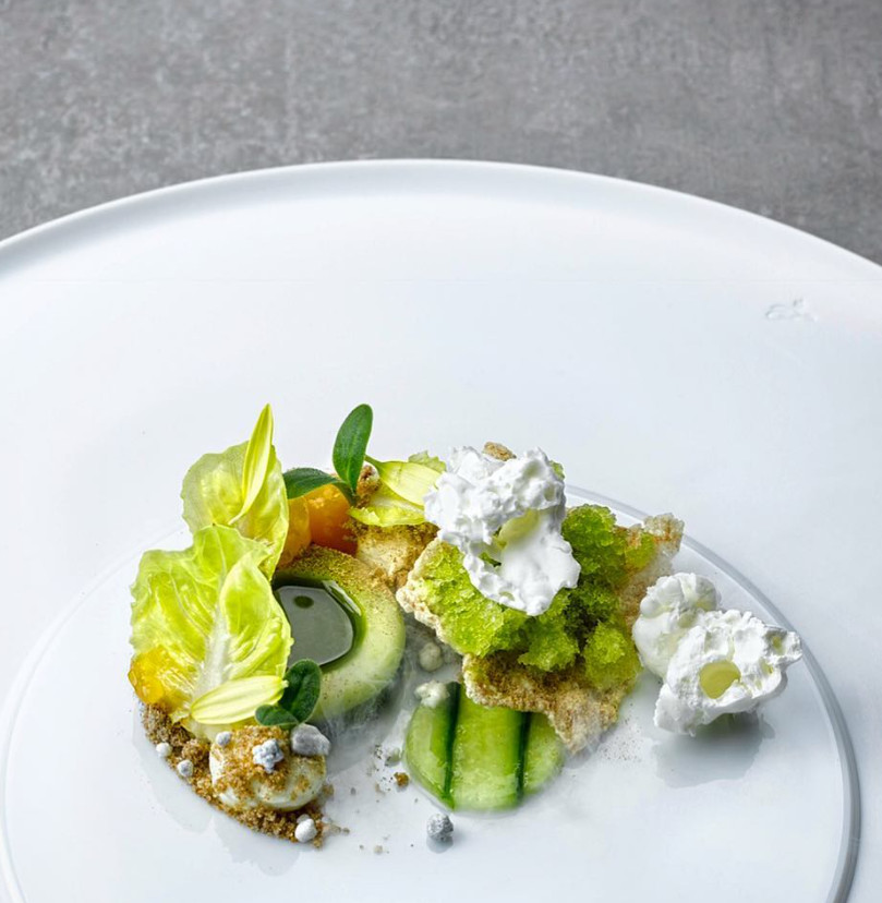 Gourmetgericht mit Salat und Gurken auf weißem Porzellanteller. Fürstenberg Porzellan.