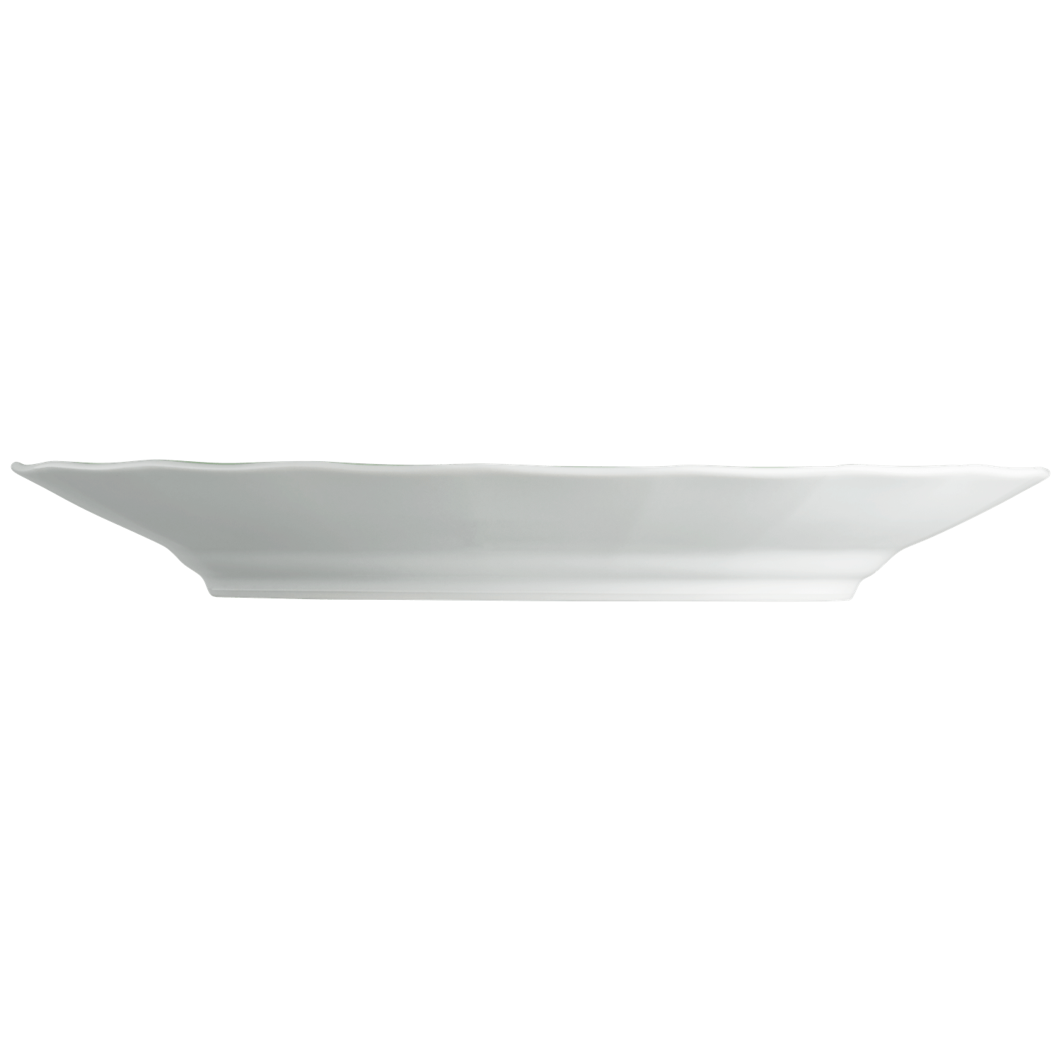 Dinner plate