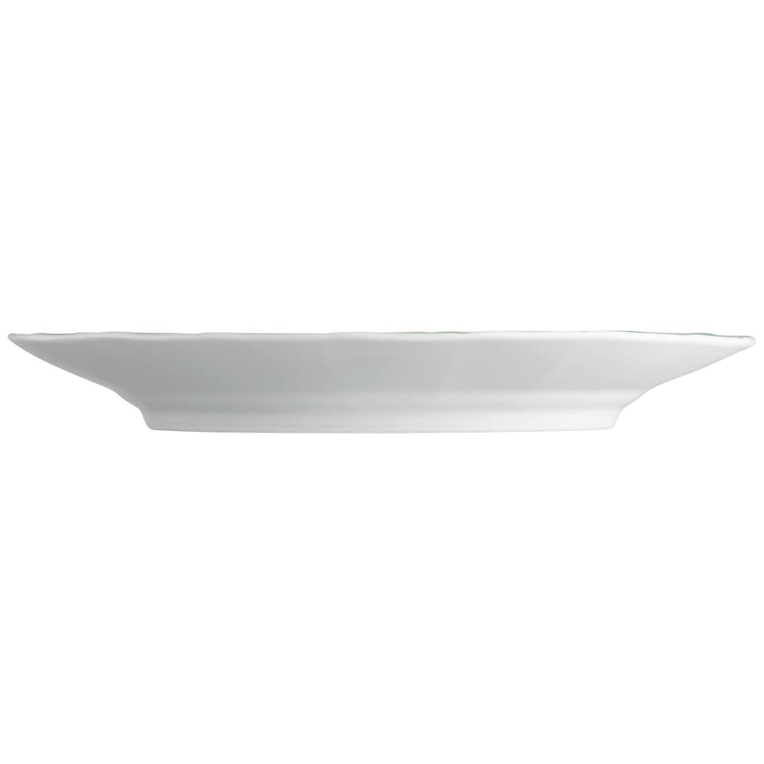 Dinner plate