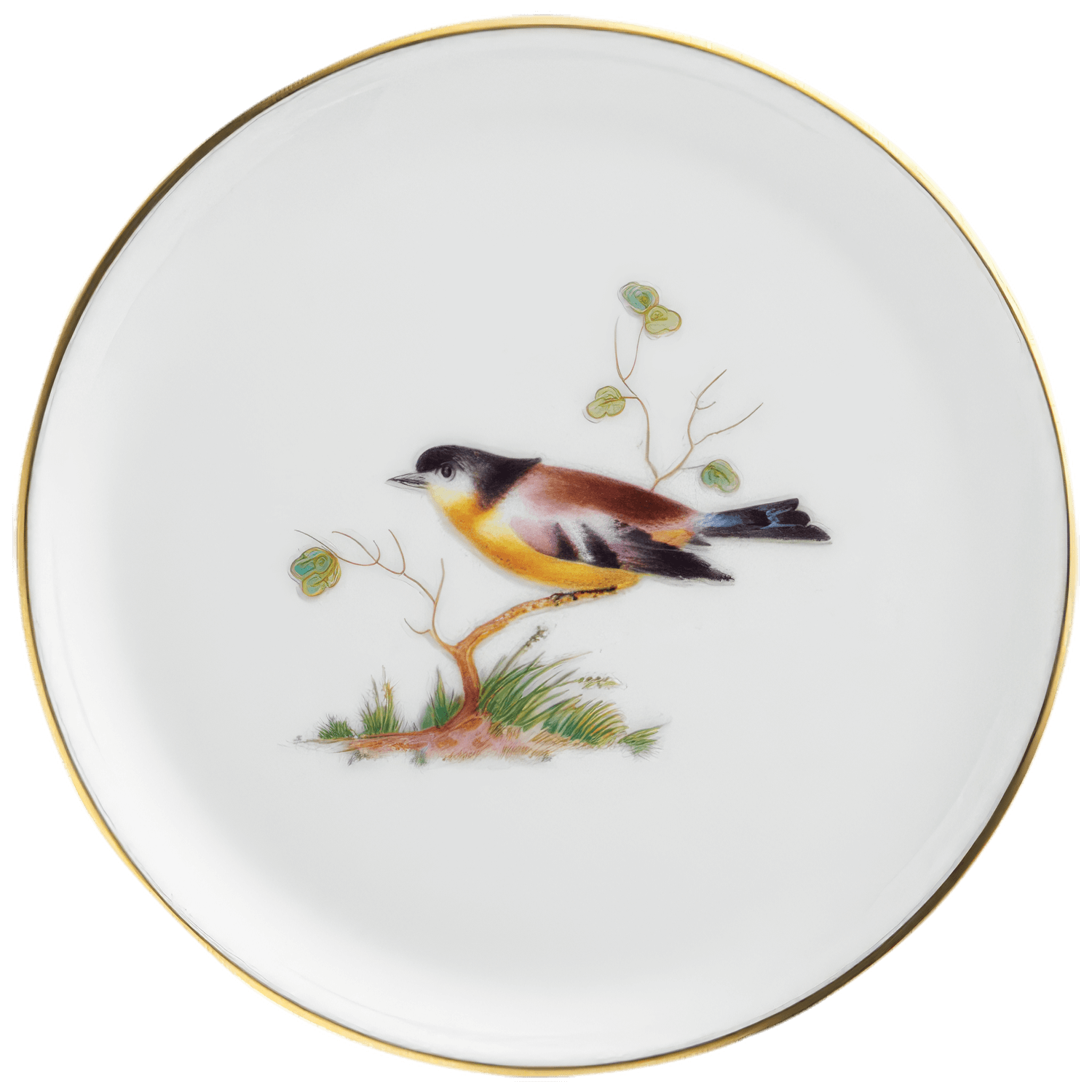 Miniplate