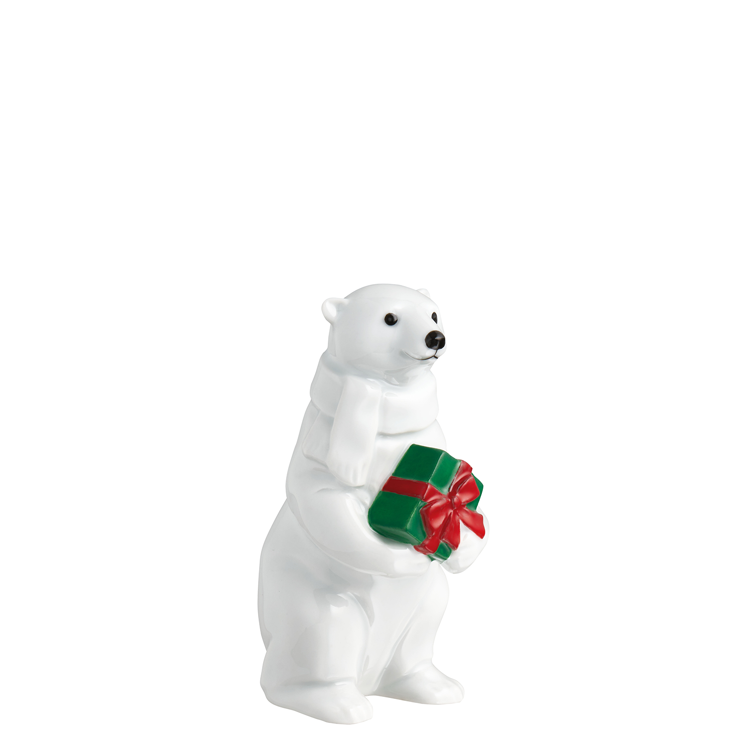 Polar bear 2025 STORMI