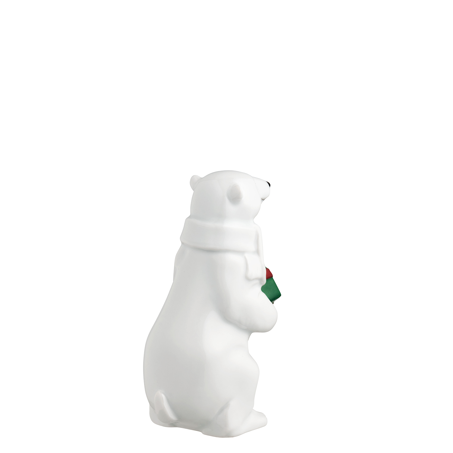 Polar bear 2025 STORMI