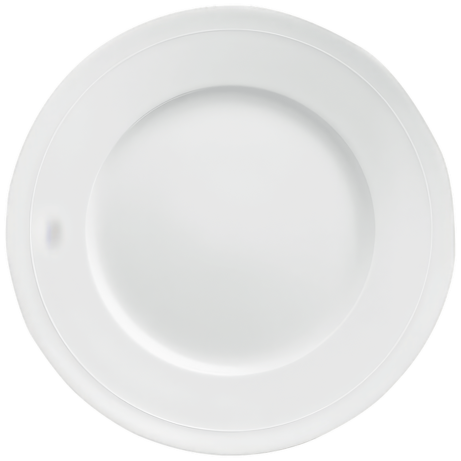 Dinner plate