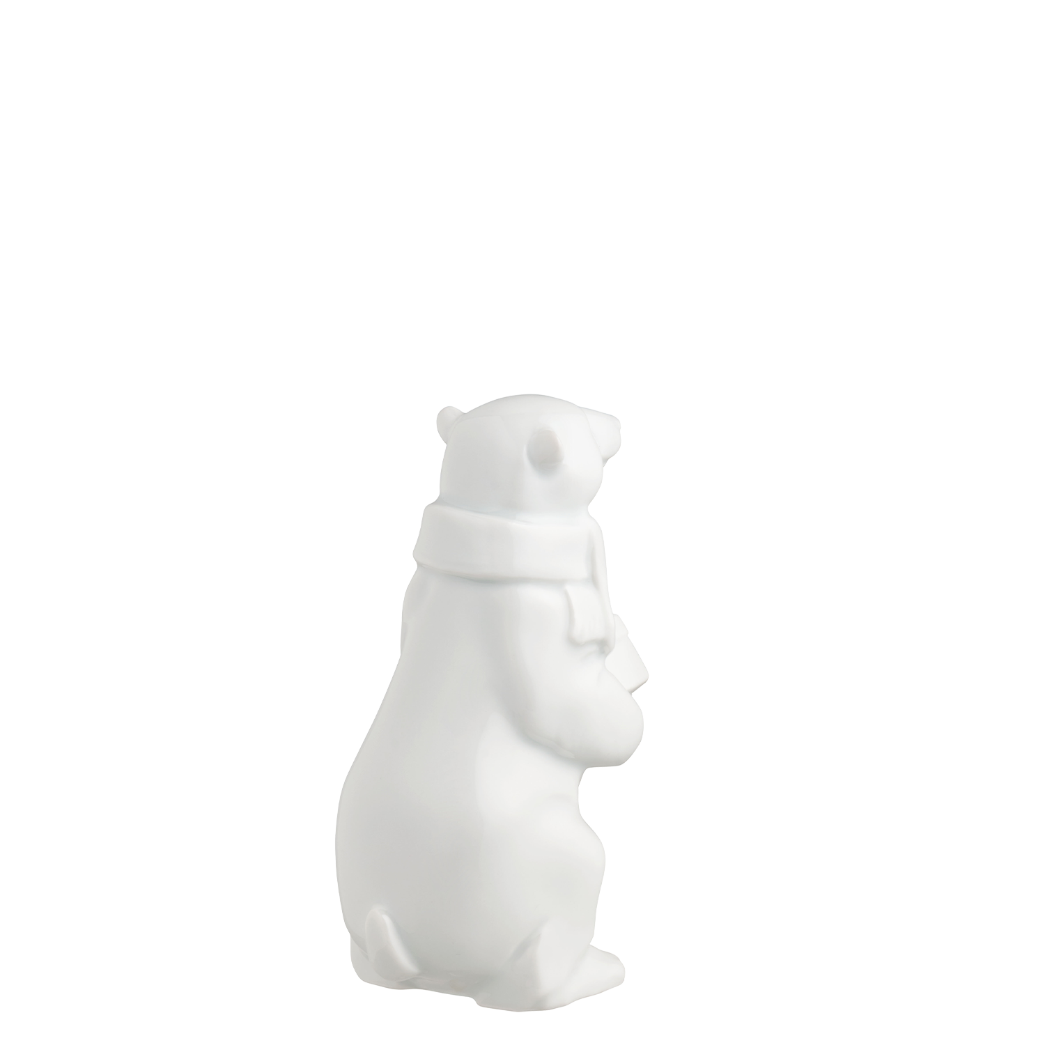 Polar bear 2025 STORMI